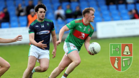 Longford SFC Quarter Final: Colmcille 1-07 Clonguish 0-08